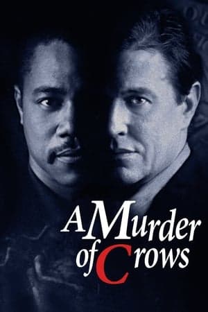Murder of Crows