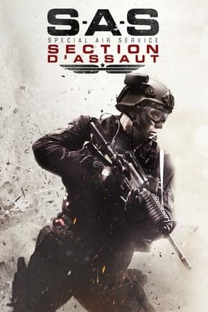 S.A.S. : Section d’Assaut